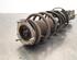 Shock Absorber FORD TRANSIT COURIER B460 Box Body/MPV