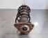 Shock Absorber PEUGEOT 308 II (LB_, LP_, LW_, LH_, L3_)