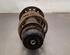 Shock Absorber RENAULT CLIO V (B7_)