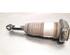 Shock Absorber BMW 5 Touring (G31)