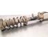 Shock Absorber BMW 5 Touring (G31)