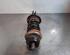 Shock Absorber RENAULT EXPRESS Box Body/MPV