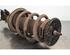 Shock Absorber NISSAN NV400 Van (X62, X62B)