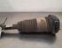 Shock Absorber BMW 5 Touring (G31)