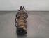 Shock Absorber OPEL CORSA F (P2JO)