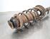 Shock Absorber TOYOTA AYGO (_B1_)