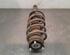 Shock Absorber FORD TRANSIT V363 Platform/Chassis (FED, FFD)