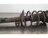 Shock Absorber SKODA SUPERB III Estate (3V5)