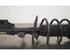 Shock Absorber PEUGEOT 3008 SUV (MC_, MR_, MJ_, M4_), PEUGEOT 5008 II (MC_, MJ_, MR_, M4_)