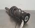 Shock Absorber VW GOLF VIII (CD1)