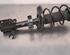 Shock Absorber RENAULT CLIO V (B7_)