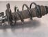 Shock Absorber RENAULT CLIO V (B7_)