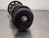 Shock Absorber CITROËN C3 AIRCROSS II (2R_, 2C_)