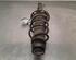 Shock Absorber AUDI A1 Sportback (8XA, 8XF)