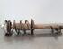 Shock Absorber FIAT DUCATO Van (250_, 290_)