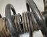 Shock Absorber MAZDA CX-5 (KE, GH)