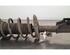 Shock Absorber PEUGEOT 3008 SUV (MC_, MR_, MJ_, M4_), PEUGEOT 5008 II (MC_, MJ_, MR_, M4_), OPEL GRANDLAND X (A18)