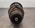 Shock Absorber RENAULT CLIO V (B7_)