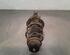 Shock Absorber RENAULT CLIO V (B7_)