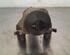 Shock Absorber VOLVO XC60 II (246)