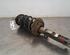 Shock Absorber VW GOLF VII (5G1, BQ1, BE1, BE2)