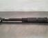 Shock Absorber VW T-CROSS (C11_)