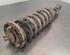 Shock Absorber ISUZU D-MAX II (TFR, TFS)