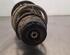 Shock Absorber RENAULT CLIO V (B7_)