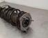 Shock Absorber FORD PUMA (J2K, CF7)