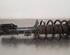 Shock Absorber FORD PUMA (J2K, CF7)