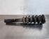 Shock Absorber VOLVO XC60 II (246)