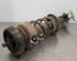 Shock Absorber RENAULT TRAFIC III Van (FG_)