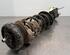 Shock Absorber RENAULT TRAFIC III Van (FG_)