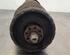 Shock Absorber RENAULT TRAFIC III Van (FG_)