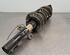 Shock Absorber FORD TRANSIT CUSTOM V362 Van (FY, FZ)