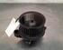 Interior Blower Motor FORD TRANSIT Van (FA_ _), FORD TRANSIT V363 Van (FCD, FDD), FORD TRANSIT V363 Bus (FAD, FBD)