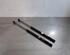 Gas Spring SUZUKI BALENO (FW, EW)