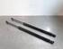 Gas Spring MERCEDES-BENZ M-CLASS (W164)