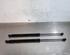 Gas Spring PEUGEOT 308 II (LB_, LP_, LW_, LH_, L3_)