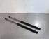 Gas Spring PEUGEOT 308 II (LB_, LP_, LW_, LH_, L3_)