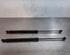 Gas Spring RENAULT MEGANE IV Hatchback (B9A/M/N_), RENAULT MEGANE E-TECH SUV