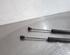 Gas Spring PEUGEOT 2008 I (CU_)