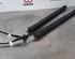 Gas Spring PEUGEOT 3008 SUV (MC_, MR_, MJ_, M4_)