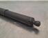 Gas Spring AUDI Q5 Sportback (FYT)