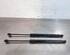 Gas Spring OPEL ZAFIRA TOURER C (P12), OPEL ASTRA J Sports Tourer (P10)