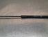 Gas Spring AUDI A6 C8 Avant (4A5)