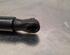 Gas Spring AUDI A6 C8 Avant (4A5)