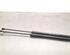 Gas Spring VW GOLF VIII (CD1)