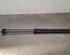 Gas Spring Engine Hood SKODA SCALA (NW1)