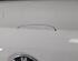 Boot (Trunk) Lid BMW 5 (G30, F90)